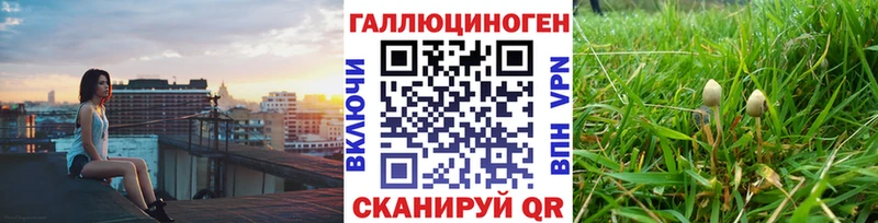 Галлюциногенные грибы мицелий  Купить  Удомля 